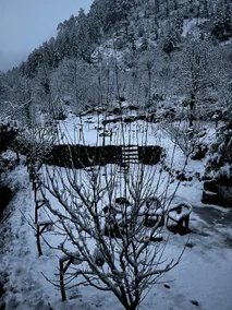 Mazel Tov Stays, Tirthan Valley - Image 5