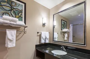 Hilton Garden Inn The Colony Dallas - Image 5