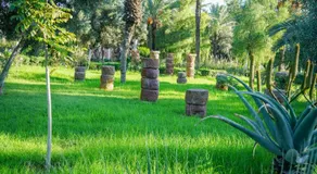 Agadir Gardens Center Hotel - Image 4