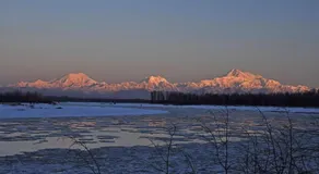 Talkeetna Fireweed Cabins - Image 4