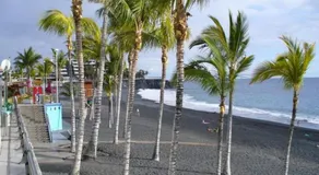 Vivienda Apartamento Gallo Playa Puerto Naos - Image 3