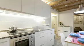 Barcelona Classic Palau Apartments - Image 4