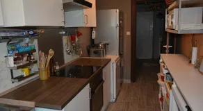 Julienne5 - Image 3