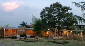 สวนเกษตรรักษ์ไผ่ Bamboo Conservation Farm - Image 5