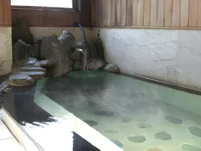 Kinugawa Niouson Plaza Hotel - Image 4