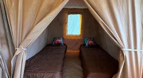 CAMPING ANIMAL KING - Image 2