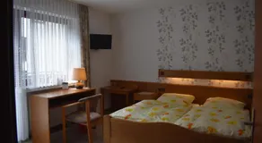 Pension Haus am Waldesrand - Image 4