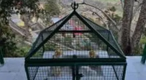 Hermitage Farms Badhisher by StayApart , Morni Hills - Image 3