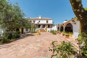 Cortijo La Rejaquera - Image 3