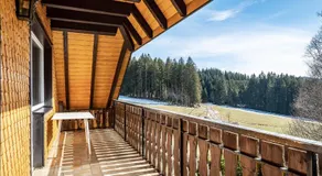 Lorenzenhäusle Titisee-Neustadt - Image 4