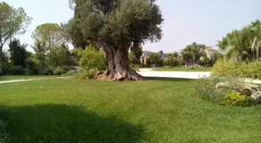 Relais Marchesi Imperiali B&b - Image 3