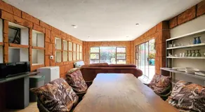 House Olive - Image 2