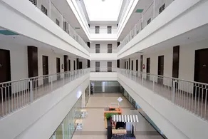 Sukro - Image 4