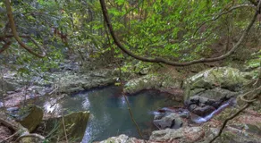 Lyola Pavilions in the Forest - Image 3