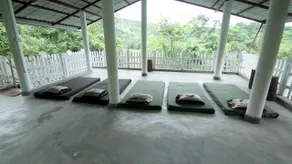 Gadja Safari Sulugune - Image 4