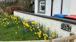 Cosy country cottage in rural location - Image 5