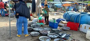 Motel - Homestay Phi Long Phat - Image 4