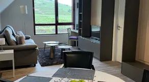  Les Appartements du Vignoble - Image 3
