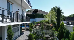 Tropical Garden - Image 4