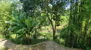 Muong Bi Homestay - A stilt house in an ancient Muong village - Image 5