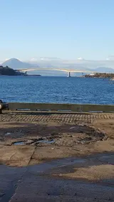 The Old Waverley - Image 2