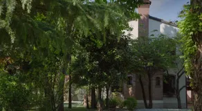 Ca' delle palme - Image 4