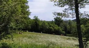 caradjango , caravane chauffée et climatisée - Image 5
