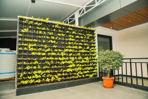 KNR Hotels and Resorts - Image 3