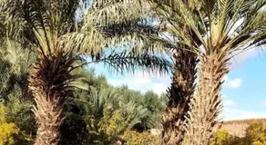 AUBERGE DES ANGES - Image 5