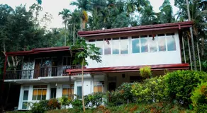 Rainforest field view resort - Image 4