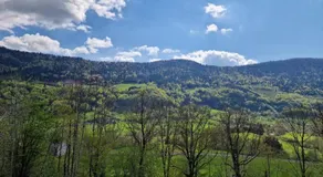 La Gentiane - Image 3