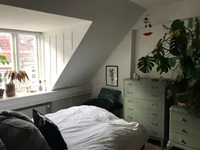 Central apartment - Image 3