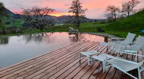 Loftartige Wohnung in Scheibbs mit Schwimmteich - Image 4