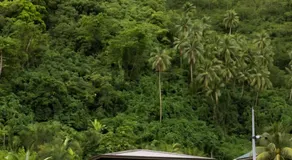 Teahupo'o Swell Lodge Bungalow - Image 5