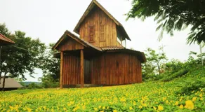 SMR Organic Farm Stay - Image 5