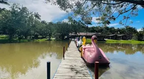 Chalé paraíso - Image 5