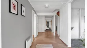 Basement Apartment -Ås Ski - Image 3