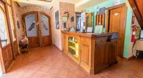 Hotel Puerta Sepúlveda - Image 4