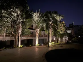Villa No 87 in Green Silhouette (Resort Type) - Image 3