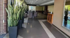 Keta - Image 5