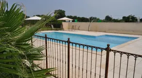 Les Mimosas - Image 3