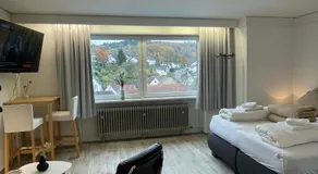 Apartmenthaus Wilder Mann - Image 2