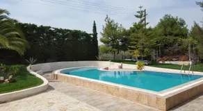 Villa Liberty - Image 3