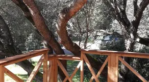chalets bois 150m de la plage - Image 4