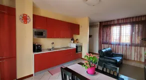 La Mimosa - Image 2
