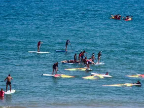 155 Apto Bonamar - Image 4