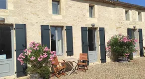 Clos Vieux Rochers Vineyard - Image 5