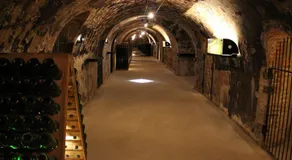 Cocoon of Enjoy i Champagne - Image 4