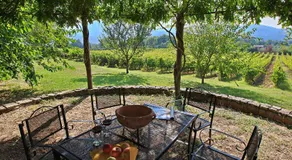 Attractive apartment in old farmhouse on the estate with pool - Image 3