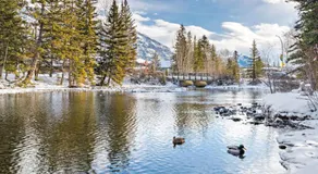 Canmore Cabin by Canadian Rockies Vacation Rentals - Image 4